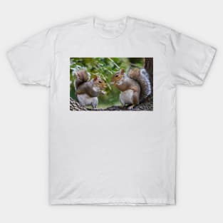 Squirrels Eating T-Shirt